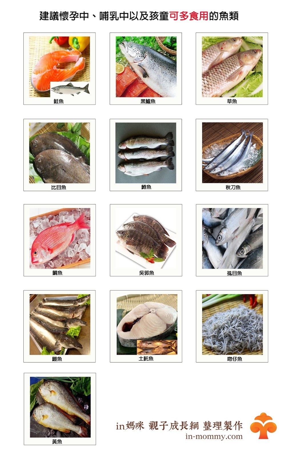 建議食用魚類圖卡